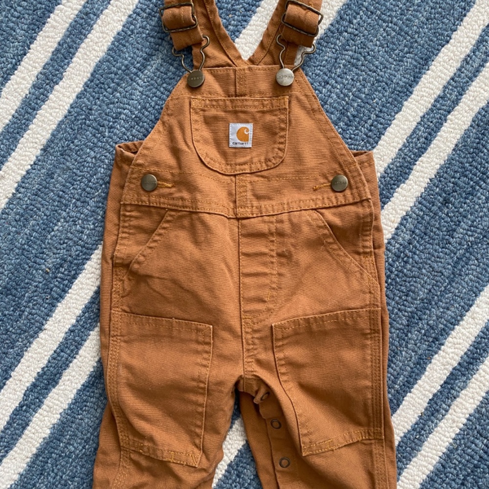 3M Carhartt Overalls